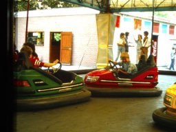 0DIA 1985 RAVA PUPS 1